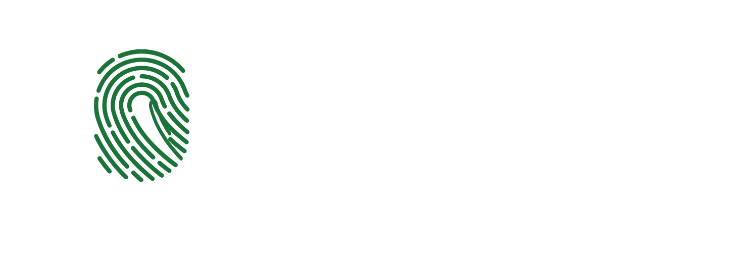 Naija Elections